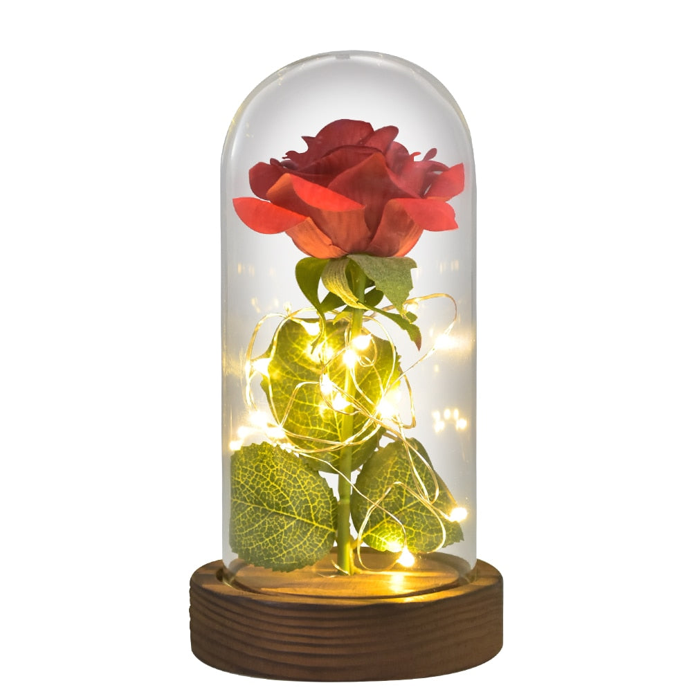 Mothers Day Gifts Beauty and The Beast Preserved Roses In Glass Galaxy Rose LED Light Artificial Flower Gift for Mom Women Girls Silk Rose-Red 2 China