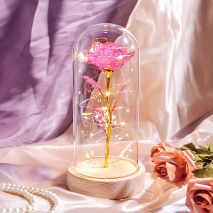 Mothers Day Gifts Beauty and The Beast Preserved Roses In Glass Galaxy Rose LED Light Artificial Flower Gift for Mom Women Girls Wood Base-Pink China