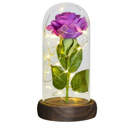 Mothers Day Gifts Beauty and The Beast Preserved Roses In Glass Galaxy Rose LED Light Artificial Flower Gift for Mom Women Girls Silk Rose-Purple